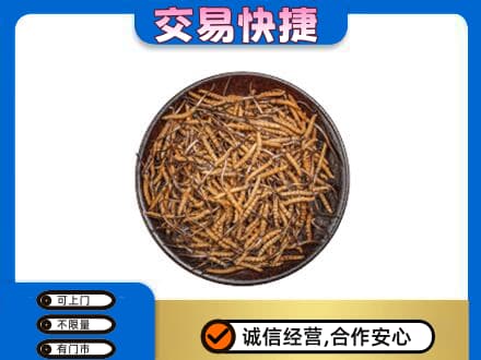 十堰市回收散虫草